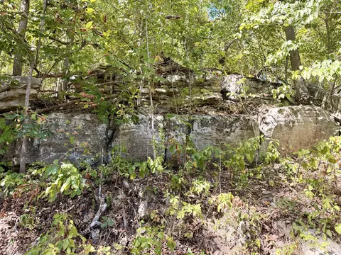 000 Ff, Ava, MO 65608 photo 12