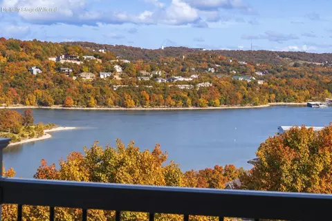 View/Area - 2 Treehouse Ln #9, Branson, MO 65616 photo 9 of 11