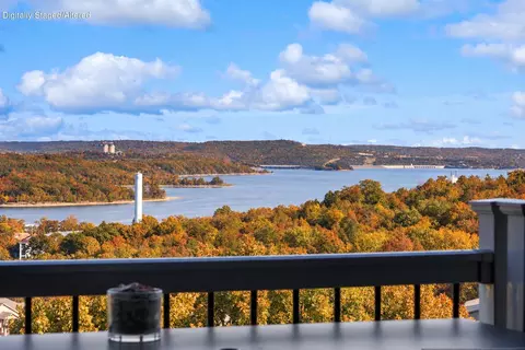 View/Area - 2 Treehouse Ln #9, Branson, MO 65616 photo 2 of 11