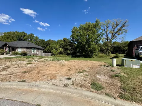 1918 N Vineyard Pl, Strafford, MO 65757 photo 3