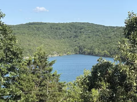 View/Area - 224 Scrolling Rd, Branson West, MO 65737 photo 3 of 3