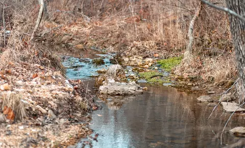 000 Pool Holler Cave Rd, Rolla, MO 65401 photo 18
