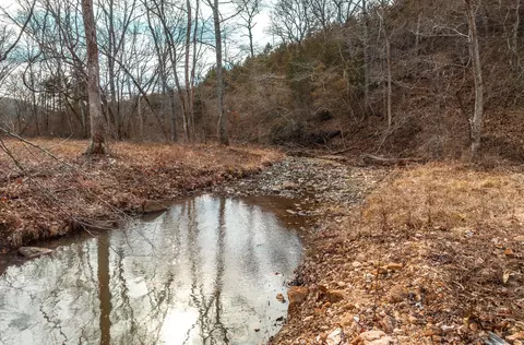 000 Pool Holler Cave Rd, Rolla, MO 65401 photo 19