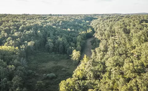 000 Pool Holler Cave Rd, Rolla, MO 65401 photo 32