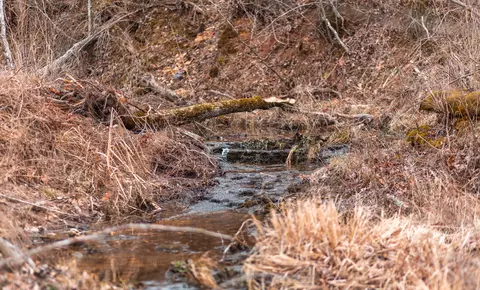 000 Pool Holler Cave Rd, Rolla, MO 65401 photo 17
