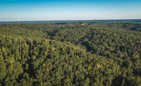 000 Pool Holler Cave Rd, Rolla, MO 65401 photo 34