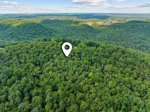 440 N Ridge Pl, Branson, MO 65616 photo 17