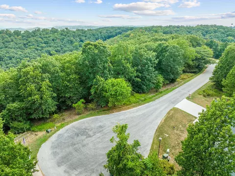 440 N Ridge Pl, Branson, MO 65616 photo 9