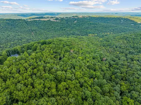 440 N Ridge Pl, Branson, MO 65616 photo 16