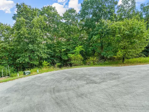 440 N Ridge Pl, Branson, MO 65616 photo 8