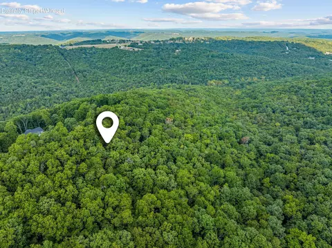 440 N Ridge Pl, Branson, MO 65616 photo 18