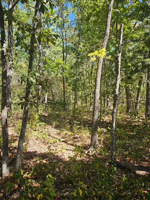 000 Highway U, Hermitage, MO 65668 photo 4