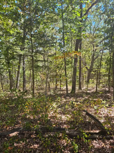 000 Highway U, Hermitage, MO 65668 photo 5