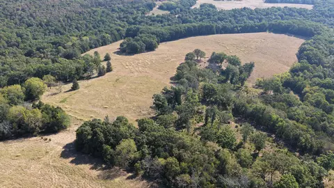 000 Ff, Gainesville, MO 65655 photo 26