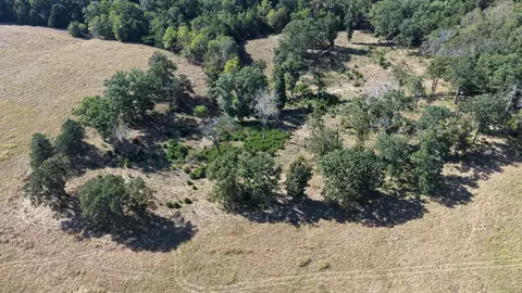 000 Ff, Gainesville, MO 65655 photo 39