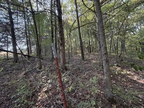 000 Ff, Gainesville, MO 65655 photo 20