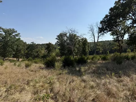 000 Ff, Gainesville, MO 65655 photo 16