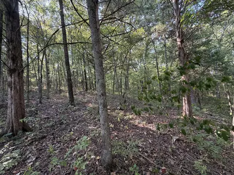 000 Ff, Gainesville, MO 65655 photo 21