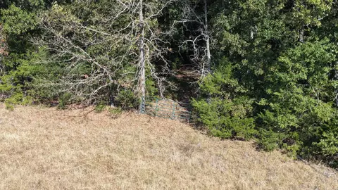 000 Ff, Gainesville, MO 65655 photo 35
