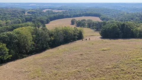 000 Ff, Gainesville, MO 65655 photo 36