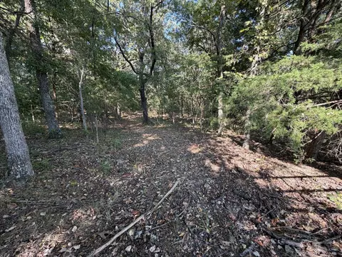 000 Ff, Gainesville, MO 65655 photo 19