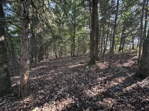 000 Ff, Gainesville, MO 65655 photo 8