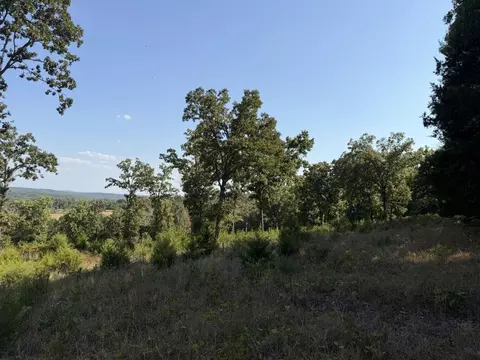 000 Ff, Gainesville, MO 65655 photo 9