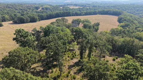 000 Ff, Gainesville, MO 65655 photo 29