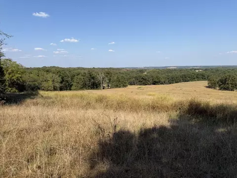 000 Ff, Gainesville, MO 65655 photo 3
