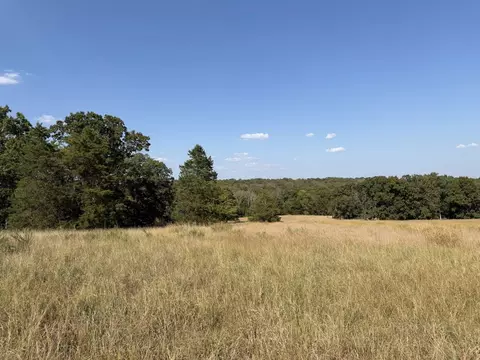 000 Ff, Gainesville, MO 65655 photo 11