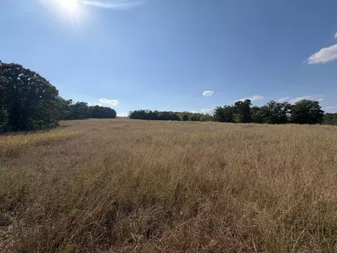 000 Ff, Gainesville, MO 65655 photo 17
