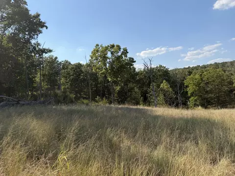 000 Ff, Gainesville, MO 65655 photo 12