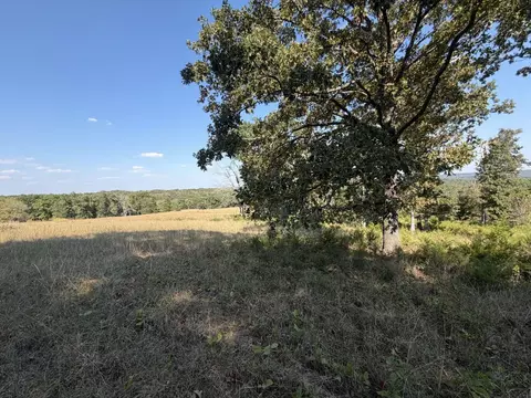 000 Ff, Gainesville, MO 65655 photo 10