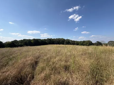 000 Ff, Gainesville, MO 65655 photo 5