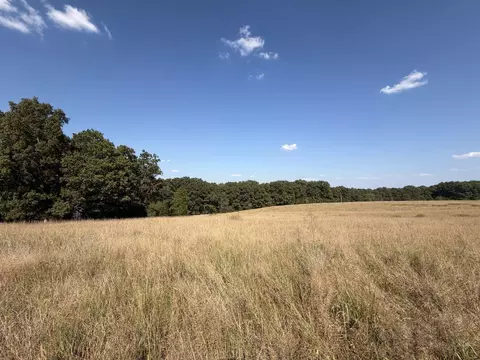 000 Ff, Gainesville, MO 65655 photo 15