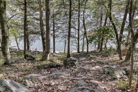 View/Area - 18715 Fr 2285, Eagle Rock, MO 65641 photo 2 of 7