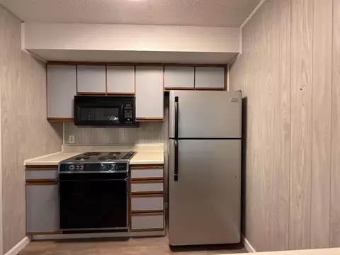 Kitchen - 152 Turnberry Dr #6, Branson, MO 65616 photo 3 of 3