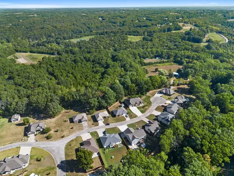 View/Area - 49 E Pine Ln, Reeds Spring, MO 65737 photo 3 of 7