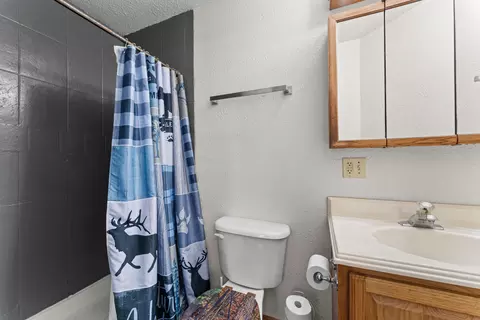 Bath - 582 Washington Rd, Shell Knob, MO 65747 photo 1 of 3