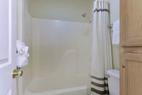 Bath - 520 Abby Ln #2, Branson, MO 65616 photo 3 of 3