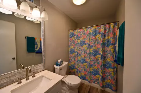 Bath - 184 S Heatherwood Rd, Shell Knob, MO 65747 photo 4 of 4