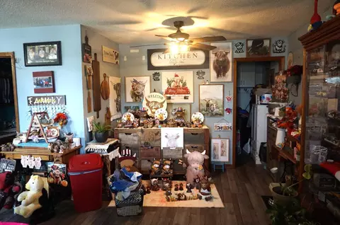 Other - 484 Lodge Pole Dr, Ozark, MO 65721 photo 1 of 10