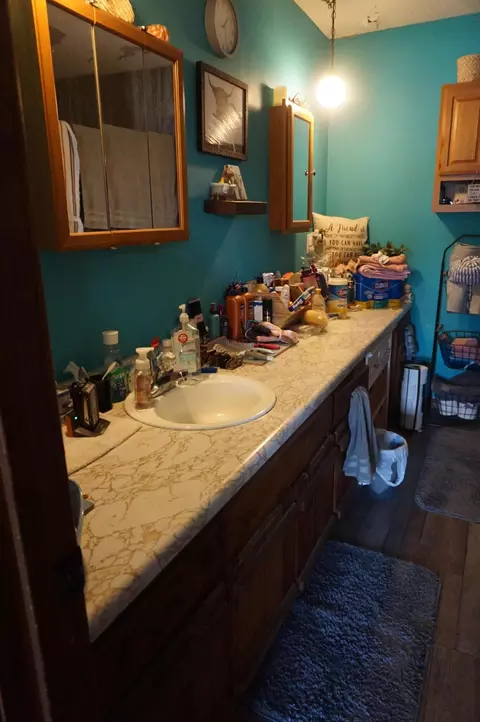 Bath - 484 Lodge Pole Dr, Ozark, MO 65721 photo 1 of 7