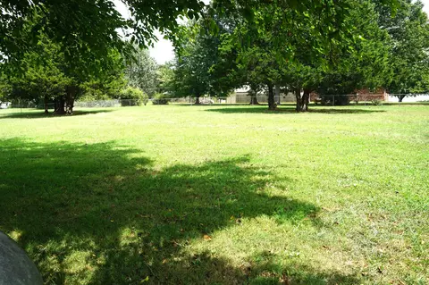 Exterior - 484 Lodge Pole Dr, Ozark, MO 65721 photo 12 of 17