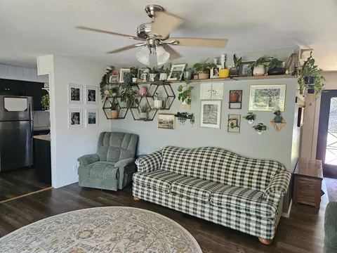 Living - 237 Renee Ave, Sparta, MO 65753 photo 3 of 4