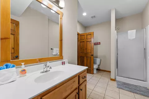 Bath - 349 Willow Oak Ln, Branson, MO 65616 photo 3 of 10