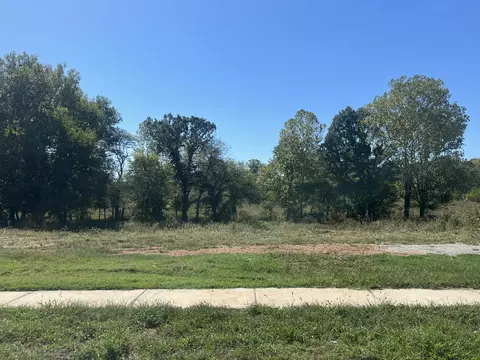 733 S Reaghan Ln, Republic, MO 65738