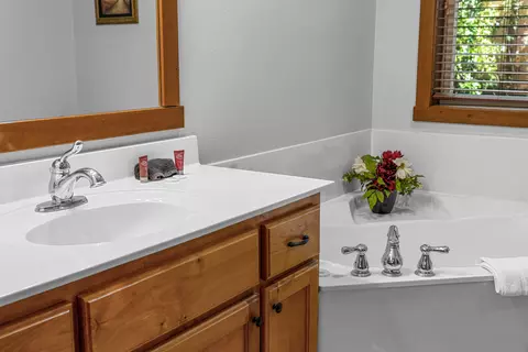 Bath - 376 Willow Oak Ln, Branson, MO 65616 photo 9 of 9
