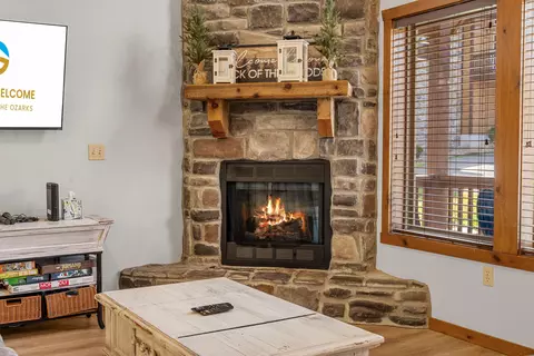 Living - 376 Willow Oak Ln, Branson, MO 65616 photo 4 of 4