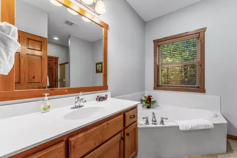 Bath - 376 Willow Oak Ln, Branson, MO 65616 photo 1 of 9